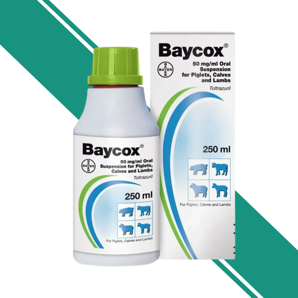 Baycox Oral Suspension 50 mg/ml for Piglets, Calves, and Lambs